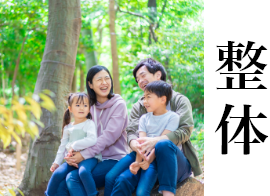 整体